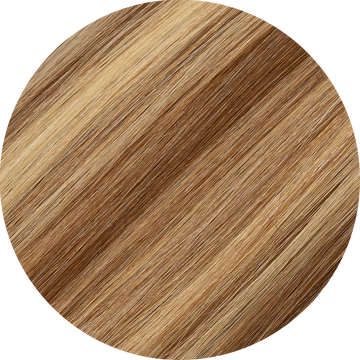 Chestnut Brown/ Honey Blonde